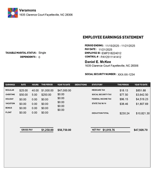 Paystub detailed  grey with logo and with Additional Compensation like overtime, holidy, vacation, bonus , float