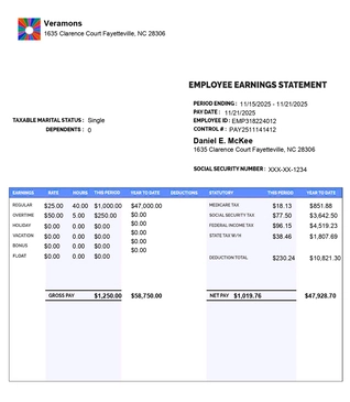 Paystub detailed  mordern with logo and with Additional Compensation like overtime, holidy, vacation, bonus , float
