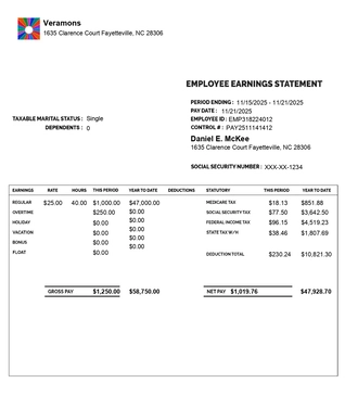 Paystub detailed Normal with logo and with Additional Compensation like overtime, holidy, vacation, bonus , float