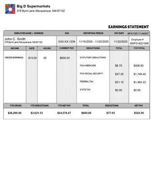 Paystub Template classic with Logo