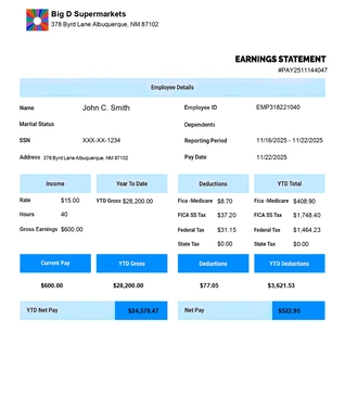 Paystub Template simple Modern with Logo