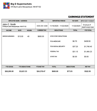 Paystub Template simple Normal with Logo