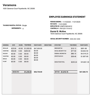Paystub detailed Classic with Additional Compensation like overtime, holidy, vacation, bonus , float