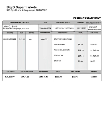 Paystub Template simple classic