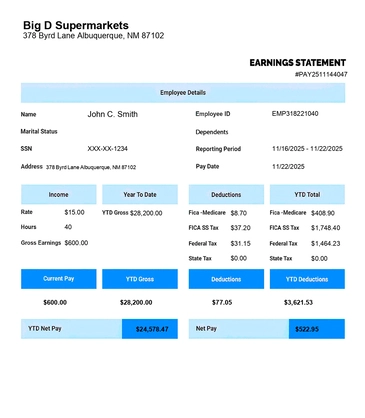 Paystub Template simple Modern