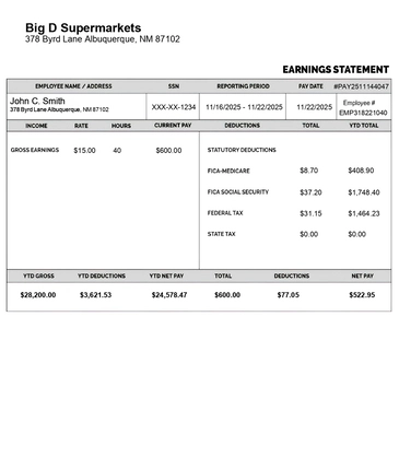 Paystub Template normal